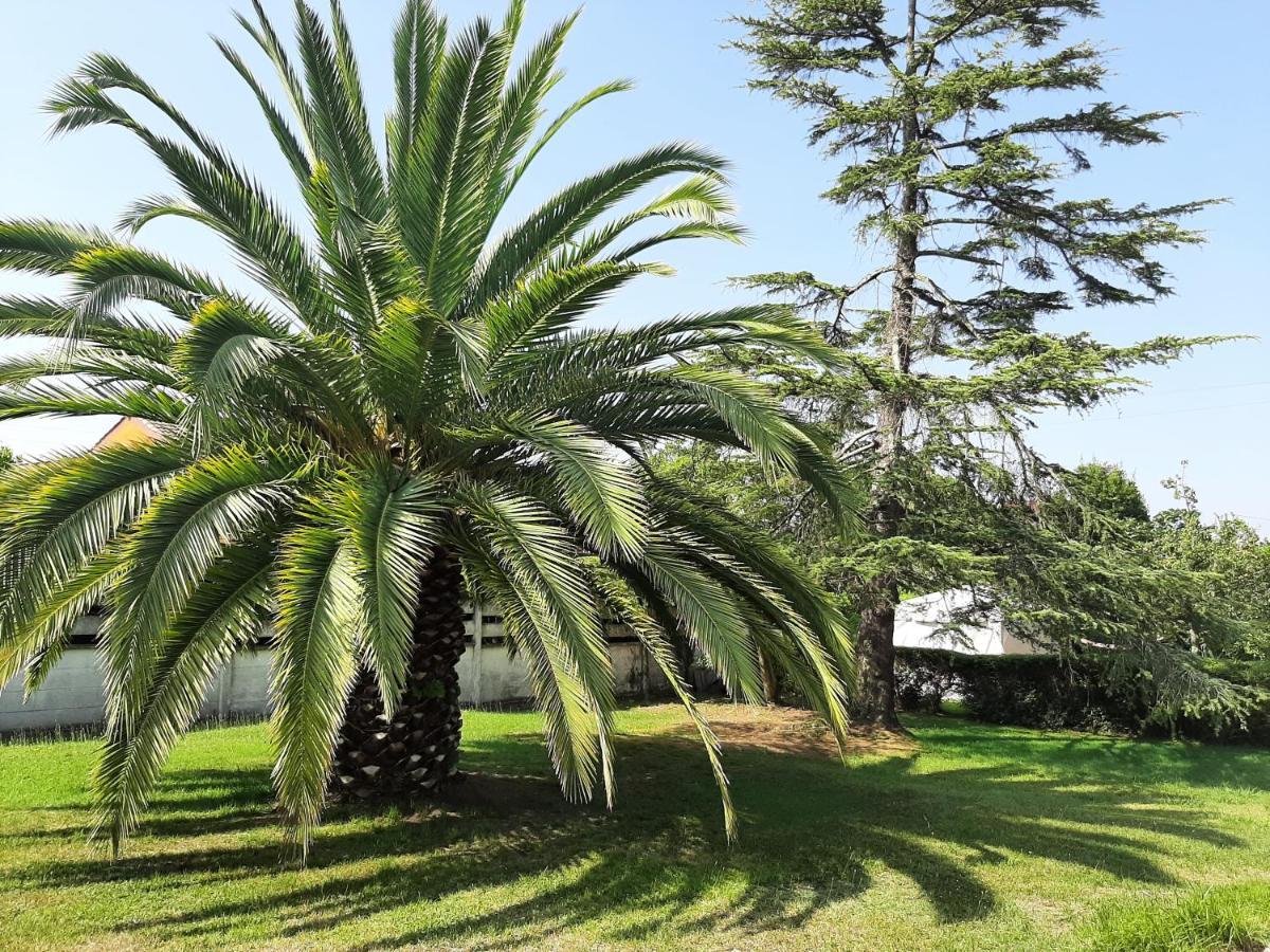 Casa De Verano La Gaviota En Asturias Villaviciosa  Kültér fotó